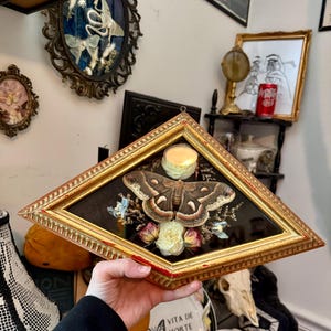 May include: A framed display featuring a large moth with brown and cream-colored wings, surrounded by dried flowers and a small candle. The frame is gold with a diamond shape.