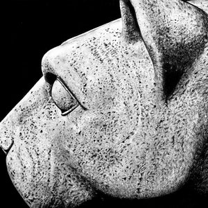 Penn State Nittany Lion - Canvas Art - 16&quot;x20&quot; - Sketch - Penn State