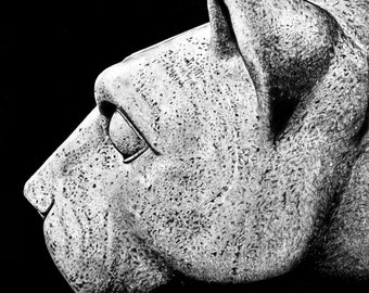 Penn State Nittany Lion - Arte em tela - 16"x20" - Esboço - Penn State
