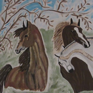 Horses in the field