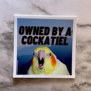 Owned by a Cockatiel Sticker