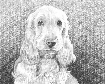 Custom Pet Portrait from Photo, Original Graphite Pencil Drawing, Pet Memorial, Cat Portrait, Dog Portrait, Personalized Gift