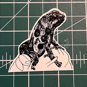 Illustrated Glossy Frog Sticker
