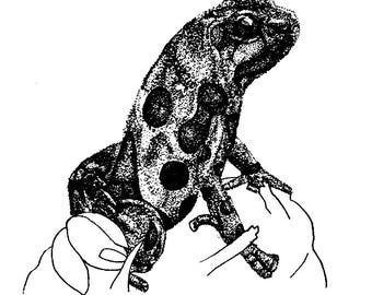 Impression artistique grenouille