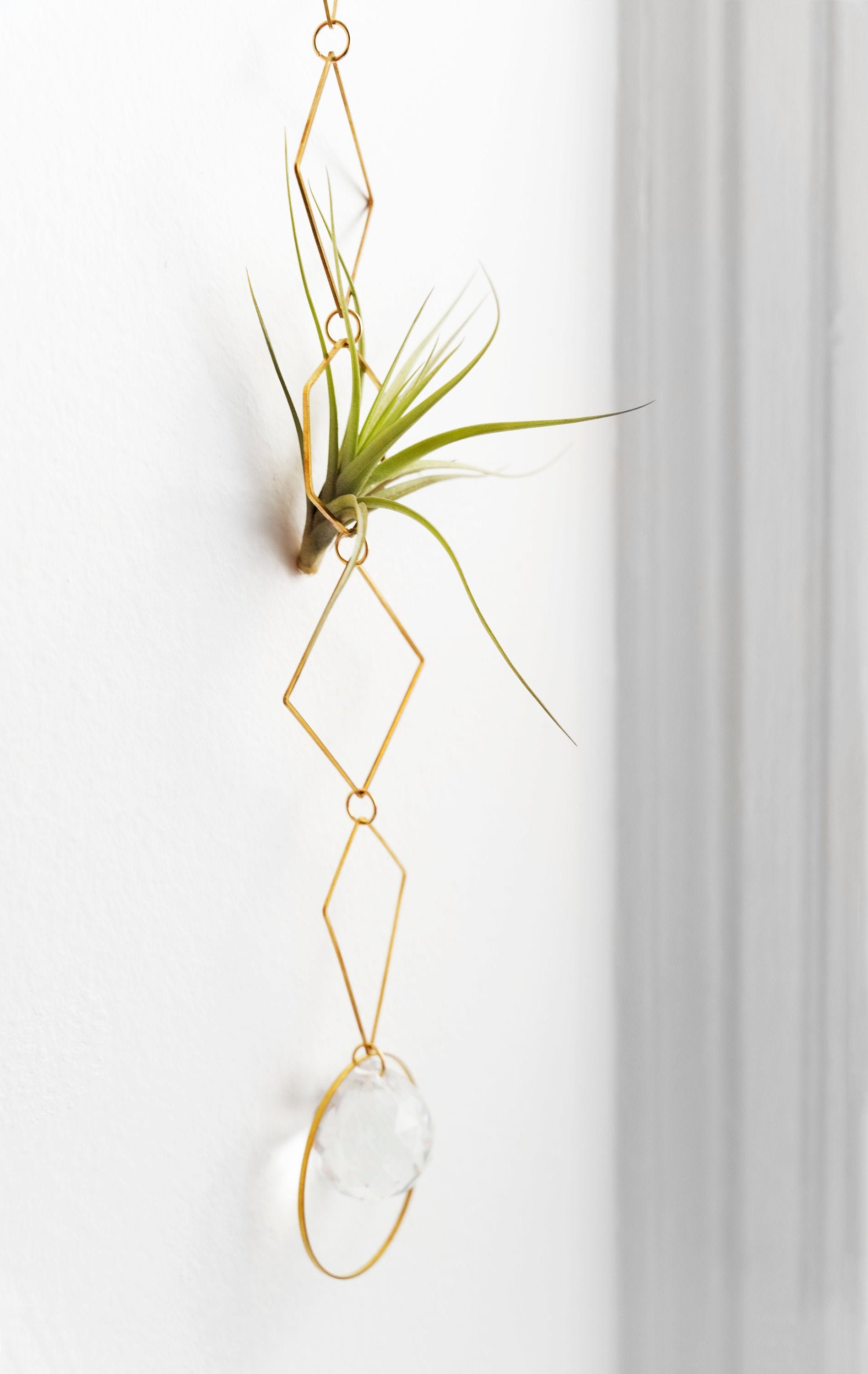 Air Plant Display Wall Air Plant Holder Wall Crystal Etsy