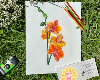 A orange orchid drawing print, 11 x 8.5