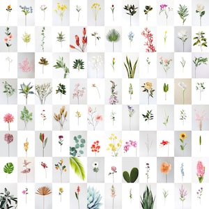 110 PCS Flower Poster Wall Collage Kit Green Plants Aesthetic Photo Collage Prints | Neutral Pictures Room Decor ( DIGITAL DOWNLOAD) 4x6