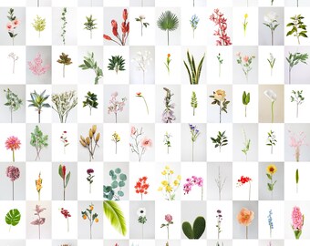 Green Plants Photo Collage Kit | Botanical Wall Decor (Digital Download)