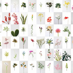 Green Plant Aesthetic Photo Collage | Neutral Flowers Wall Decor | Flower Wall Collage Kit ( DIGITAL DOWNLOAD ) | 110 PCS