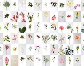 Plant & Flower Photo Collage Kit | Botanical Wall Art (Digital Download)