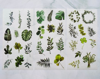 May include: A collection of watercolor botanical stickers featuring various green leaves and foliage. The stickers include monstera leaves, ferns, and eucalyptus, arranged on a white background. Ideal for scrapbooking, journaling, and crafting.