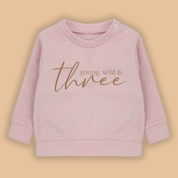 Young, Wild & Three Birthday Sweatshirt - Birthday Sweatshirt - Girls Boys third Birthday Top -  3 Birthday Sweatshirt