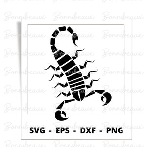 Scorpio, Zodiac, Star sign, SVG, PNG, Dxf, EPS, Instant Download, Digital Download, Clipart,Vector File, Positive Image, Affection, Lovers