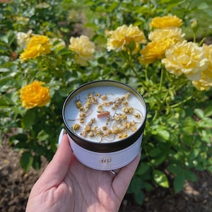 Zodiac Candles