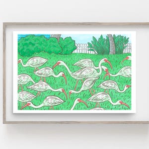 Ibis on the Lawn Art Print | Florida Bird Wildlife Illustration | Florida Bird Wall Art | Coastal Wildlife Poster | Wetland Birds Art Gift