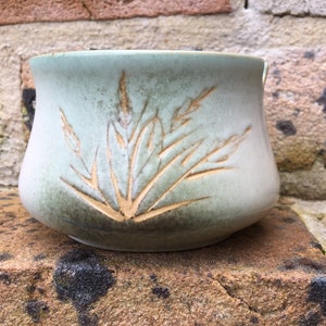 May include: A light green ceramic planter with a raised design of brown grass.