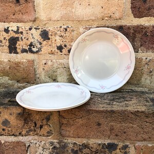 May include: Two white ceramic plates with a floral design in shades of pink and blue. The plates have a scalloped edge and are stacked on top of each other.