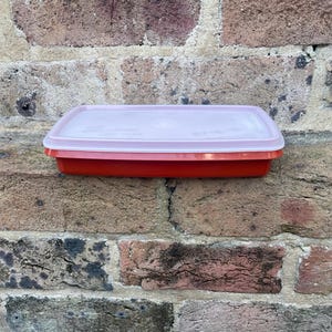 May include: A red rectangular food container with a light pink lid. The container is made of plastic and appears to be empty. The lid has a slightly translucent appearance. The container is against a brick wall.