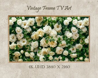 Rose blanche, art TV cadre Samsung, amour, art TV cadre, cadeau, téléchargement numérique