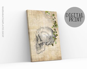 May include: A vintage anatomical illustration of a human skull with labeled bones, set against a textured background with a vine of green leaves.