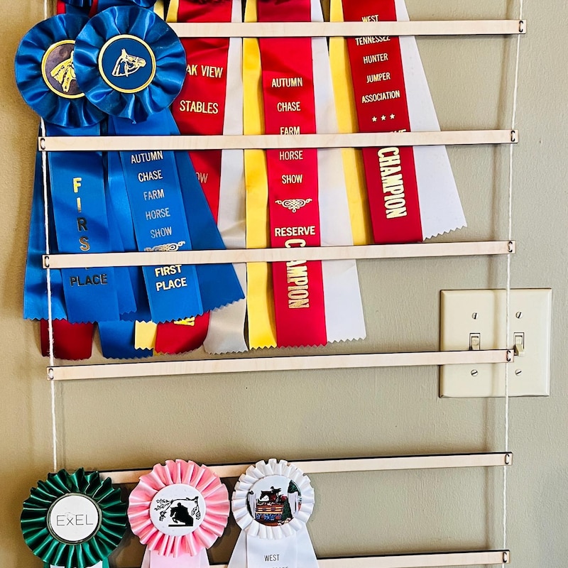 Horse Show Ribbons - Etsy