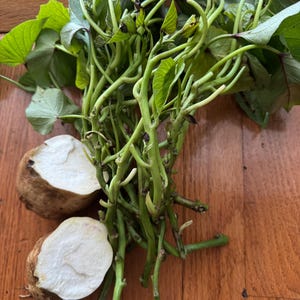 May include: Two halves of a tan sweet potato with white flesh are next to a bundle of green sweet potato vines and leaves. The image is taken on a wooden surface.