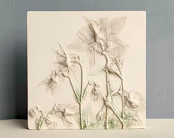 Botanical plaster cast, Aquilegia