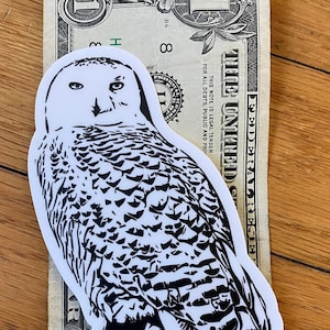 Snowy Owl vinyl sticker