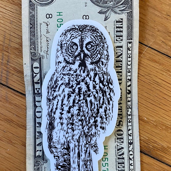 Great Gray owl vinyl sticker