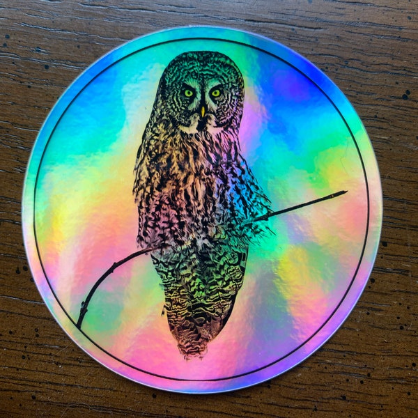 Great Gray Owl holographic 3" circular sticker