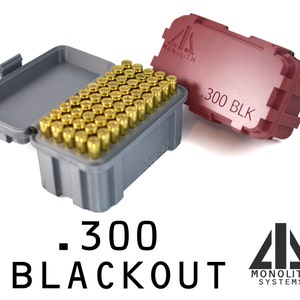 300 Blackout - Ammo Container - 50 Schuss