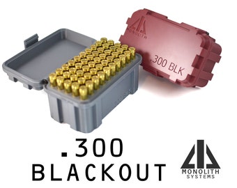 300 Blackout Ammo Container 50 Round 
