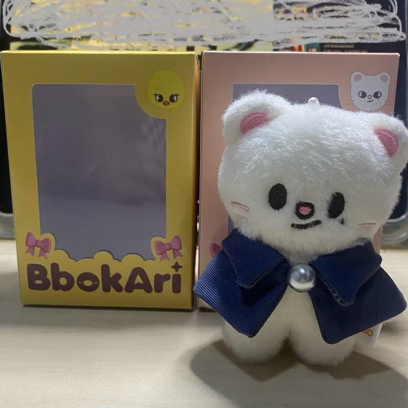 Box Only. Stray Kids SKZOO Box 10cm Plush Fanmade BOX [BOX