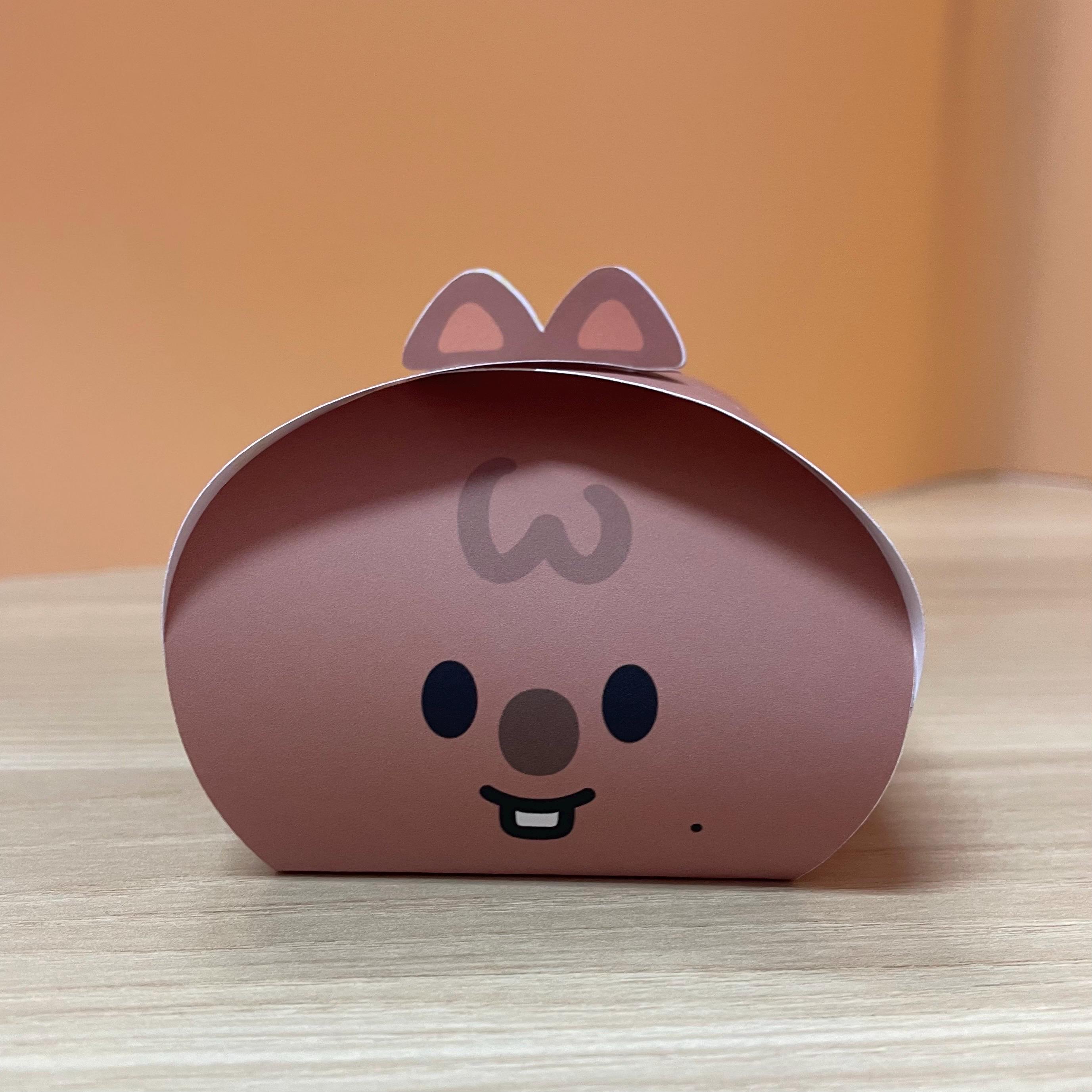 Stray Kids SKZOO Doorgift Box Printable Digital Download | PNG PDF