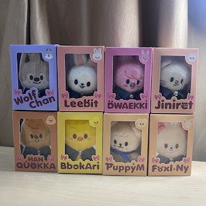 Stray Kids SKZOO Fanmade 10cm Plush Box