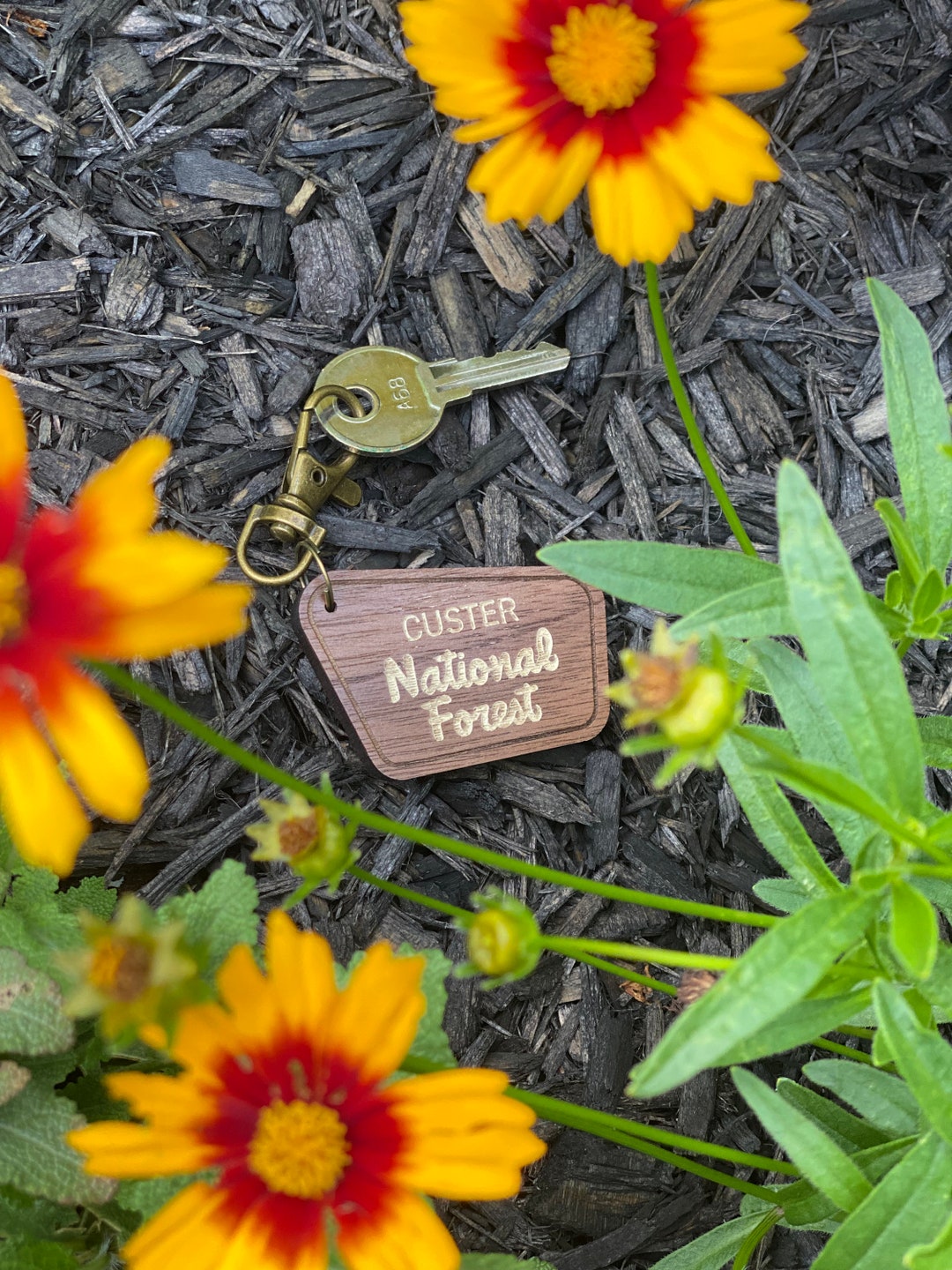 Custer National Forest Sign Keychain - Etsy