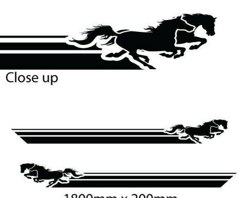 3m Horse Stripe Sticker Decals for Horse Float Motorhome Etsy