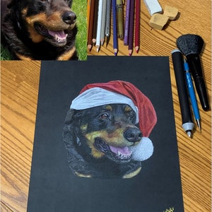 Hand Drawn Pet Portraits - In Color or Black and White