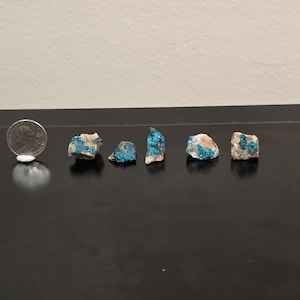 May include: A collection of raw, natural mineral specimens. The stones display a vibrant turquoise-blue color with a crystalline structure, contrasted by a beige matrix. A US quarter is included for size reference. The minerals are arranged on a dark surface.