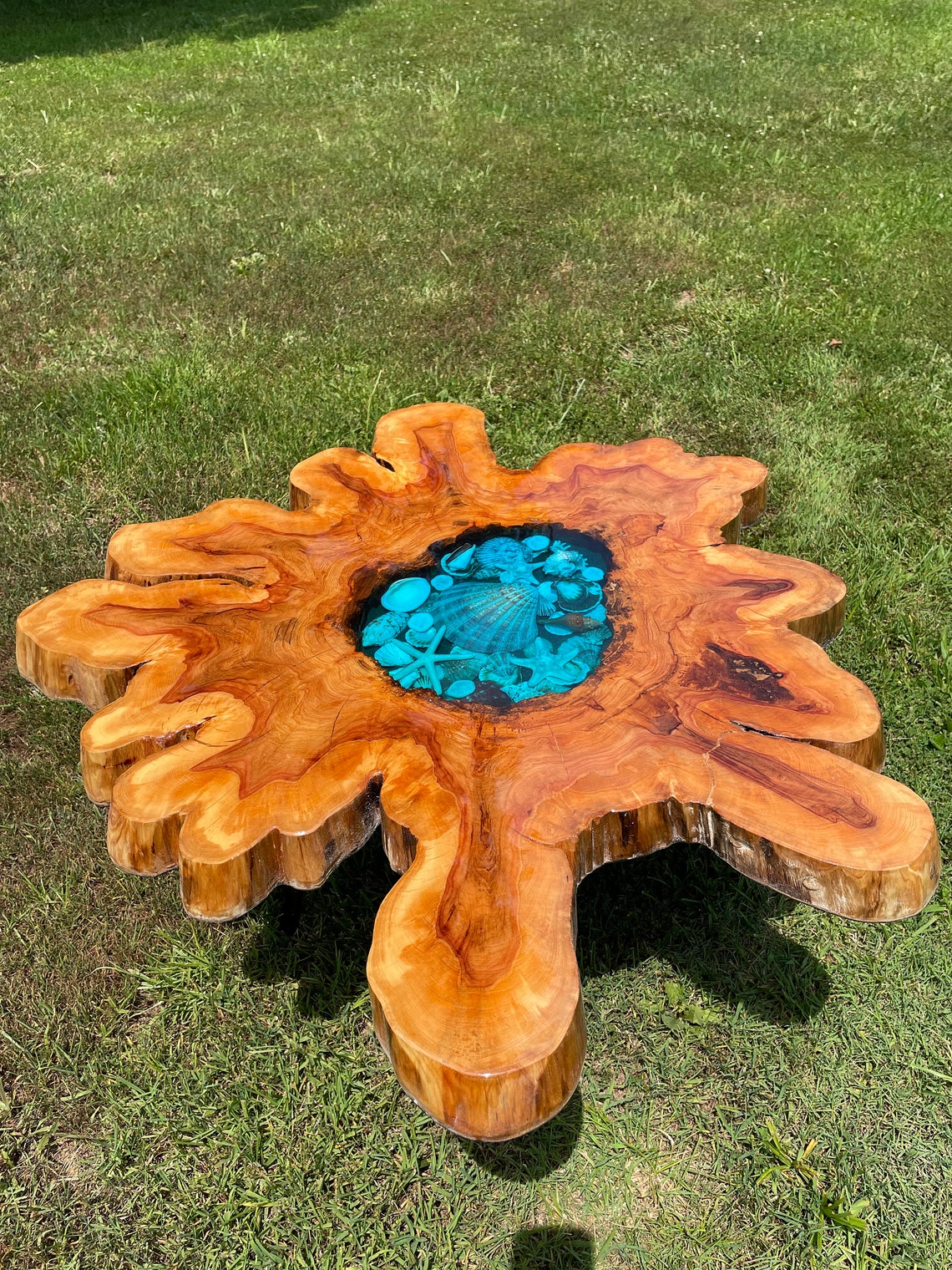 Cypress Crosscut Natural Stump Slab Coffee Table Etsy