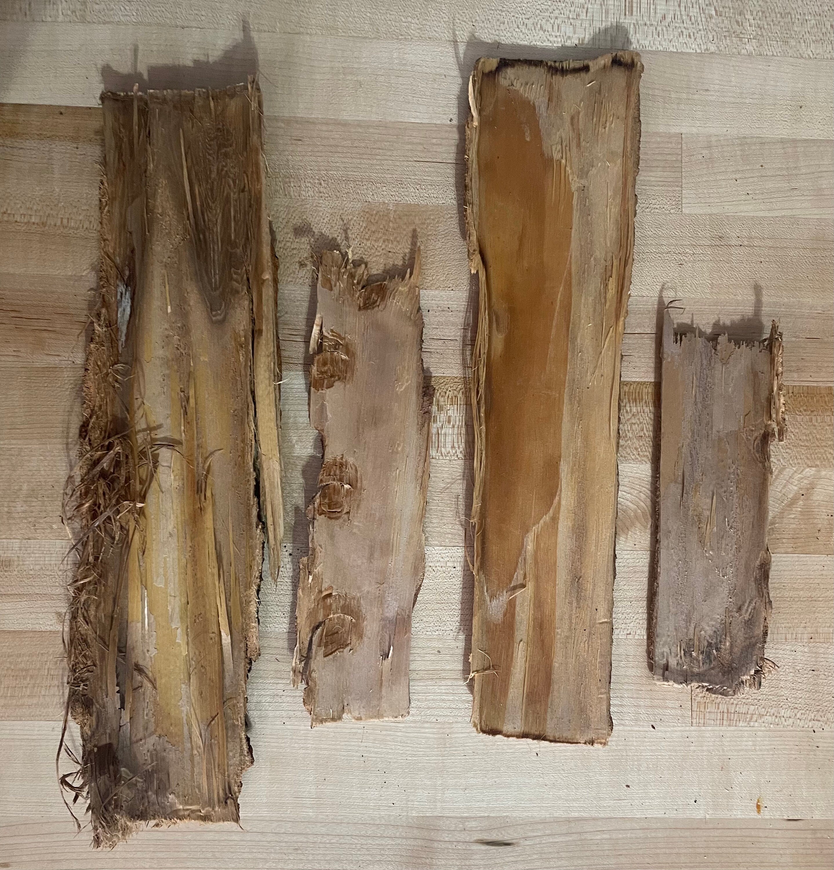 Premium Tree Bark Beautiful for Art & Craft Projects Etsy