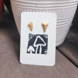 Shark Teeth Fossil Stud Earrings