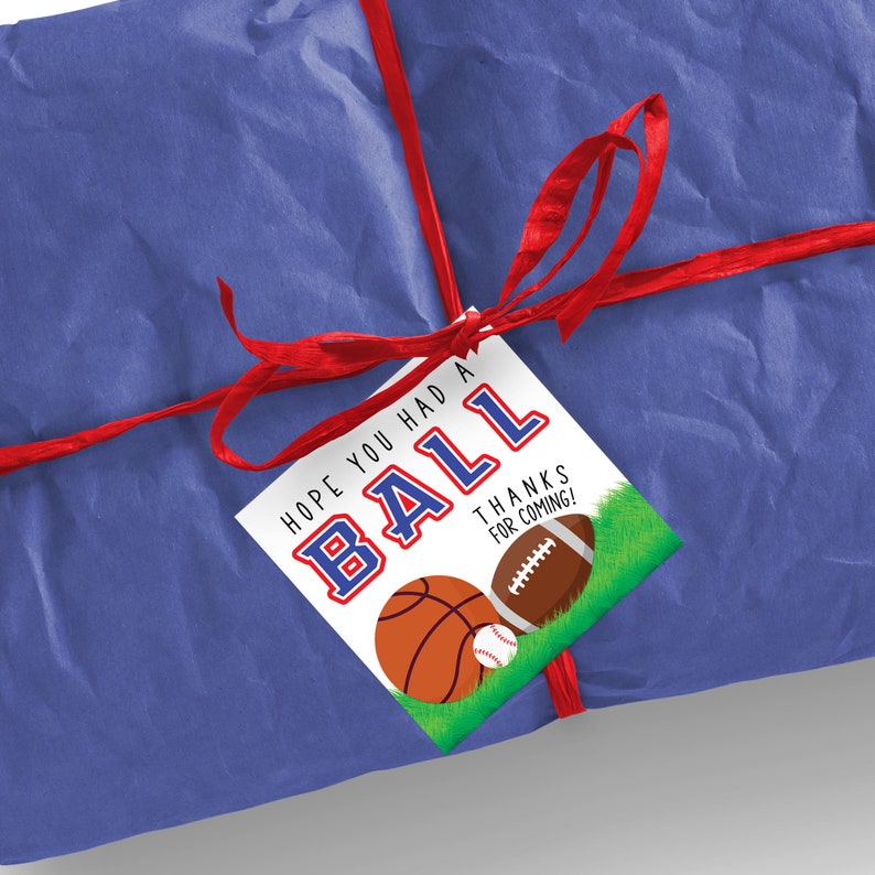 Hope You Had A Ball Tag Template Printable Sports Birthday Party Tags ...