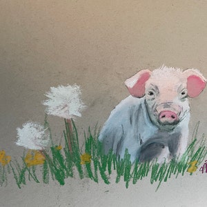Pig