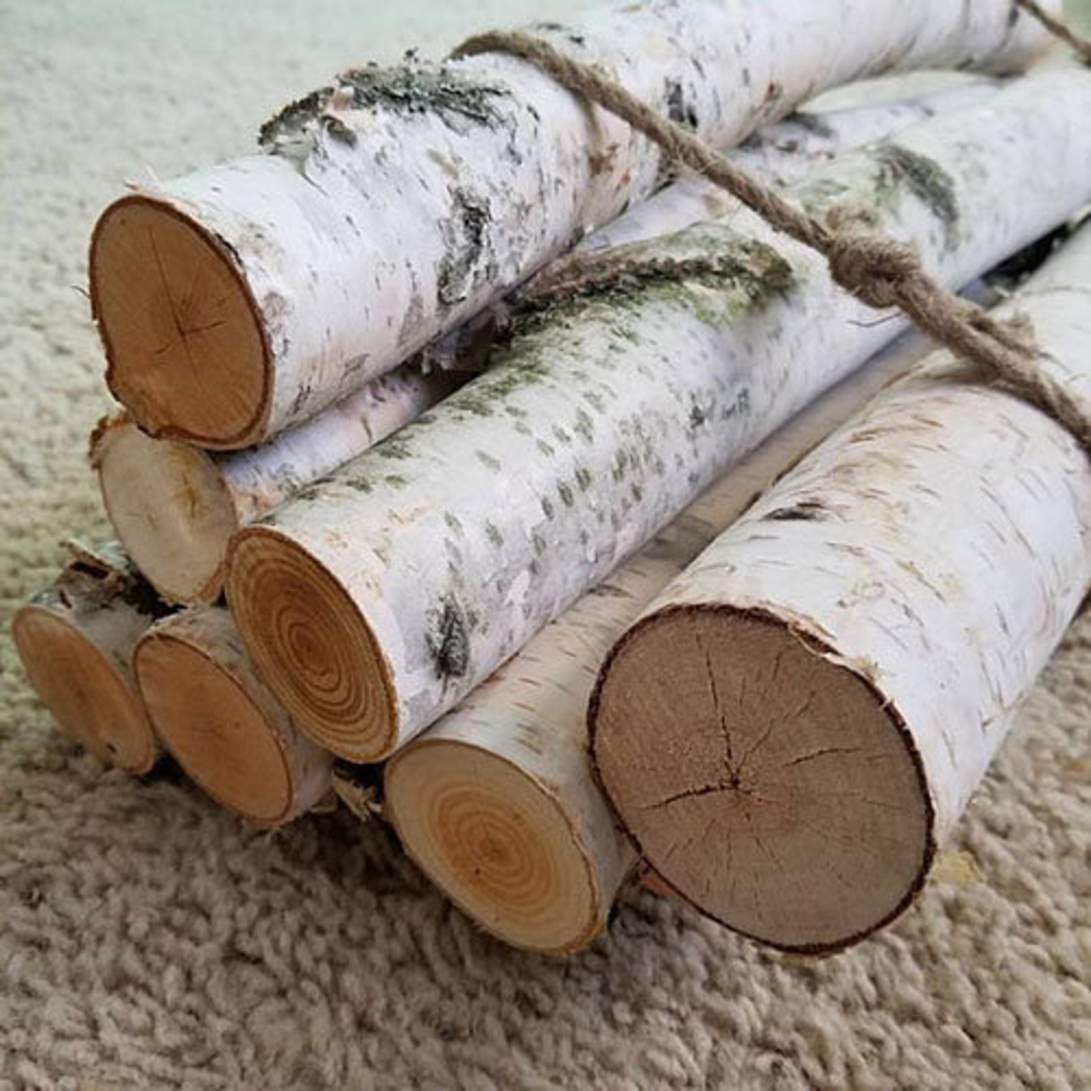 7 White Birch Logs Birch Branches Yule Log Rustic Christmas Etsy