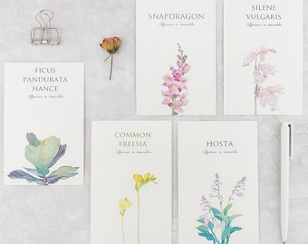 Floral Postcard, 30 Unique Designs Poster Decals Set,  Sweet Home Room Decoration, Minimalist Wall Collage Kit, Gifts for sending love