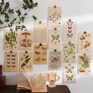 30 Natur botanische Postkarten, 6x4-Zoll-Poster-Set, ästhetische Drucke im Retro-Stil, Fotowand, Raumdekor, Vintage Wandcollage