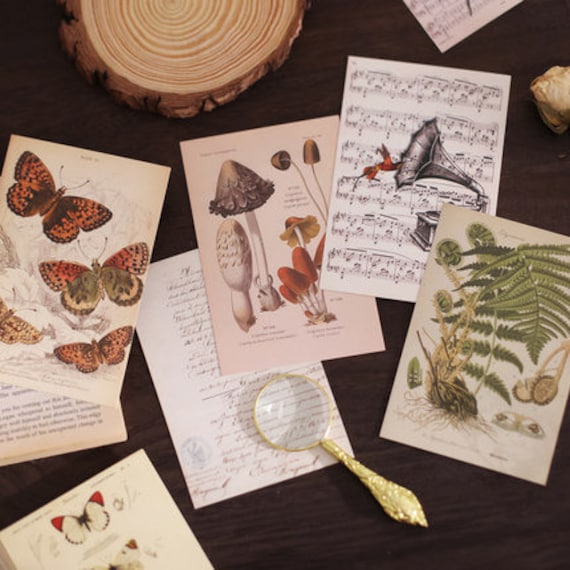 Cartes Postales Vintage Botaniques – Lot De 50 Motifs Floraux Et Paysages | 10 X 15 Cm Pour Déco Et DIY