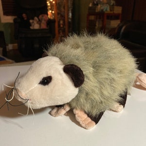 Opossum webkinz sales
