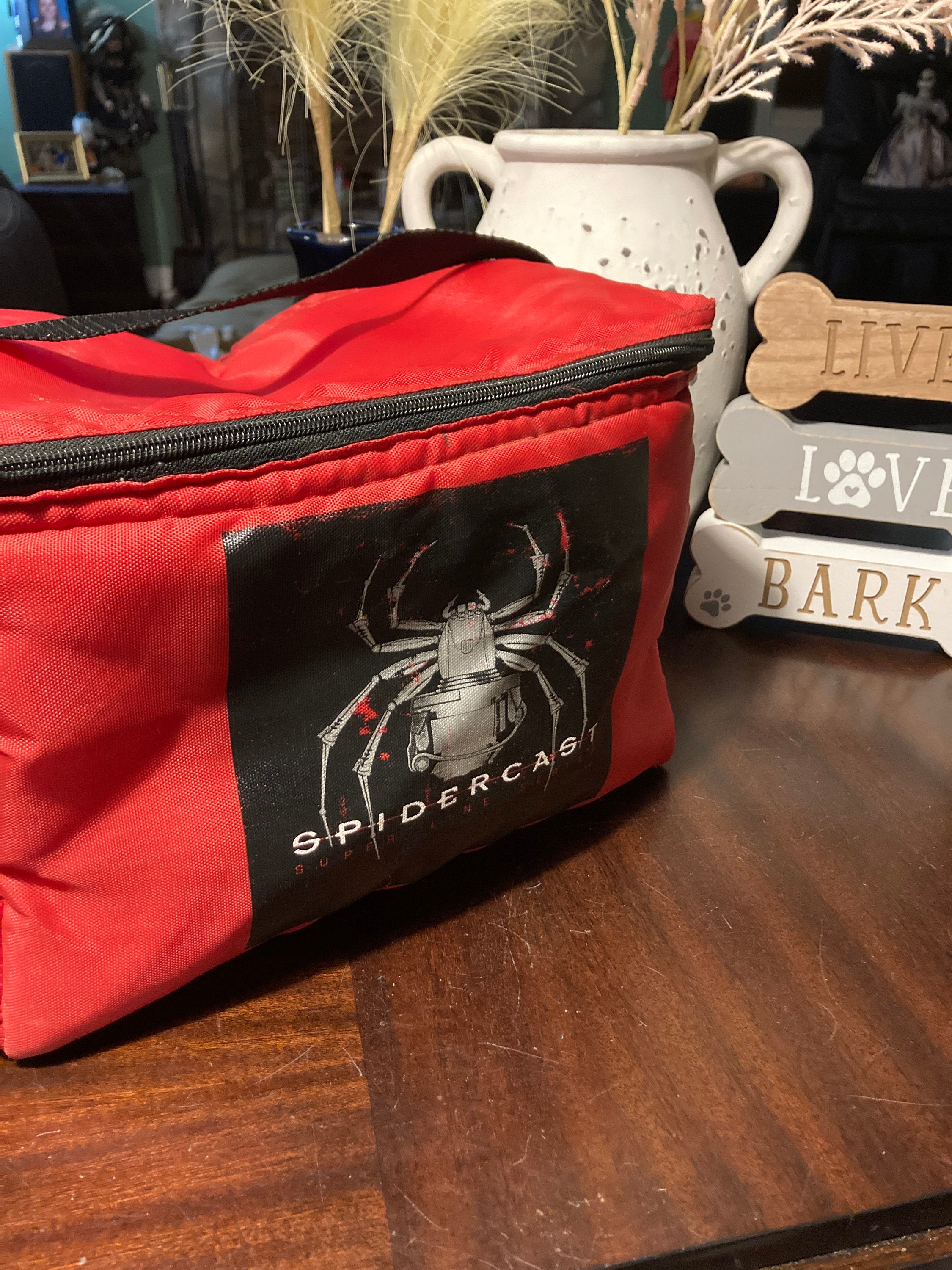Spider Cast Super Line Series Insulated Cooler Bag Drink Carrier Fishing  Bag RARE 12 X 9 X 8 Tall Red With Black Strap Spidercast Emblem 